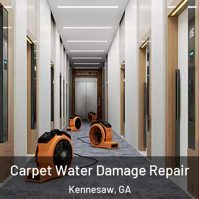  Carpet Water Damage Repair Kennesaw, GA