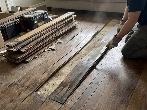 Water Damage Drying in Kennesaw