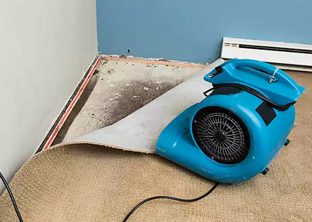 Your Water Damage Experts in Kennesaw, GA