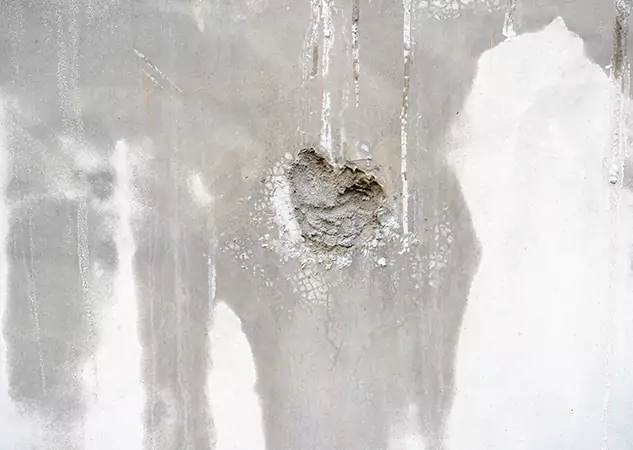 Your Mold Mitigation Solutions Partner in Kennesaw, GA