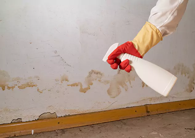 Your Water Restoration and Mold Remediation Specialists in Kennesaw, GA