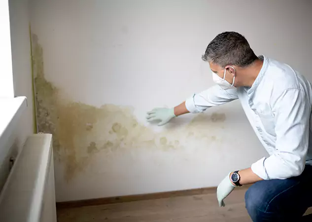 Reach Our Remediation Team Before Damage Grows in Kennesaw, GA!