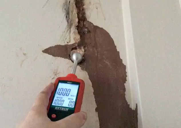Your Water Damage Assessment Partner in Kennesaw, GA