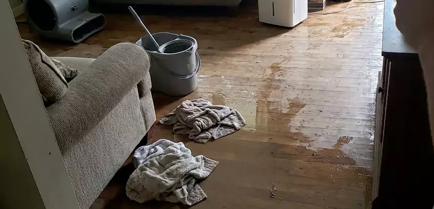 Professional Basement Water Remediation Services in Kennesaw, GA