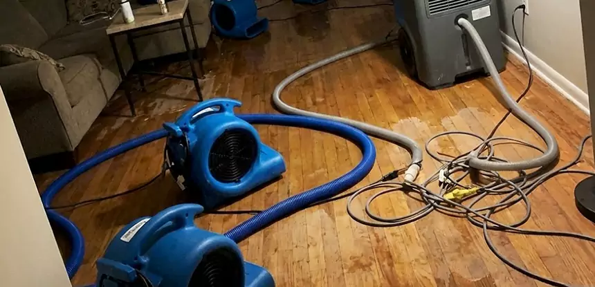 Basement Flood Restoration Services in Kennesaw