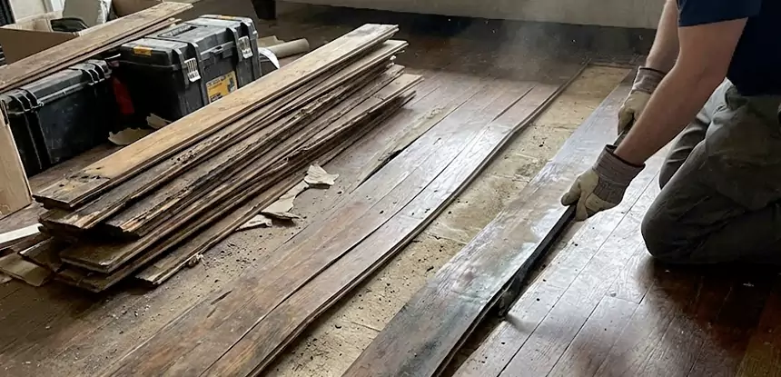 Wood Rot and Fungus Repair in Kennesaw