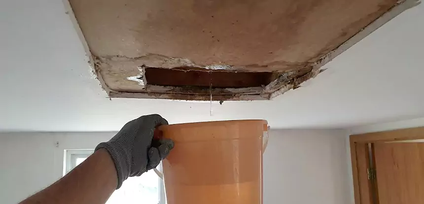 Ceiling Mold Repair Kennesaw 