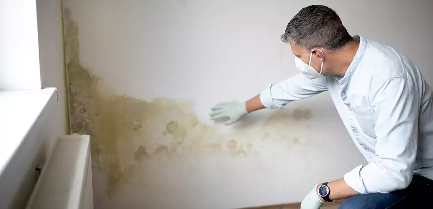 Mold and Water Damage Repair in Kennesaw