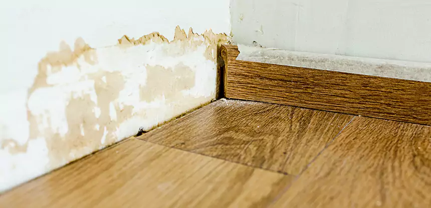 Professional Fix Water Damaged Wood Services in Kennesaw, GA