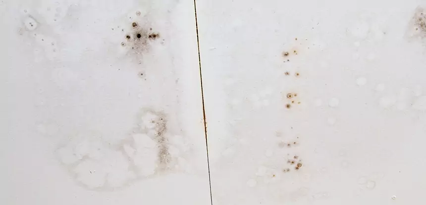Professional Water Stain Repair Services in Kennesaw, GA