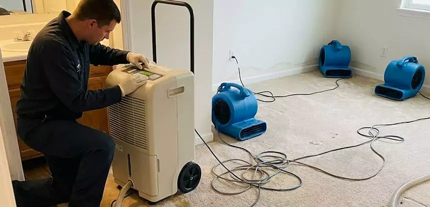 Professional Wet Carpet Removal Services in Kennesaw, GA