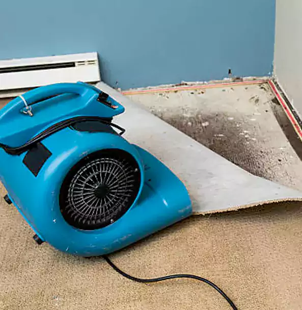 Why Kennesaw Trusts Kennesaw Restoration Pro for Carpet Flood Recovery?