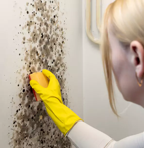 Why Kennesaw Restoration Pro Leads Mold Remediation in Kennesaw?
