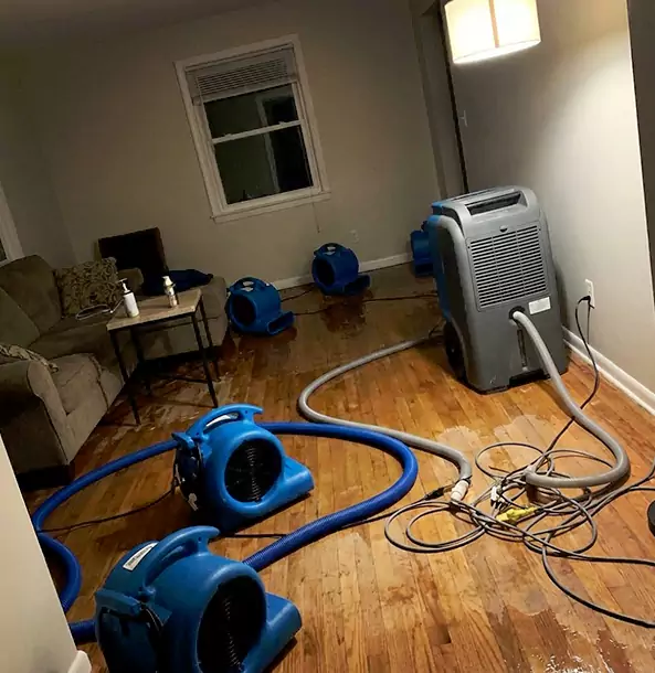 Why Kennesaw Property Owners Rely on Kennesaw Restoration Pro for Remediation?