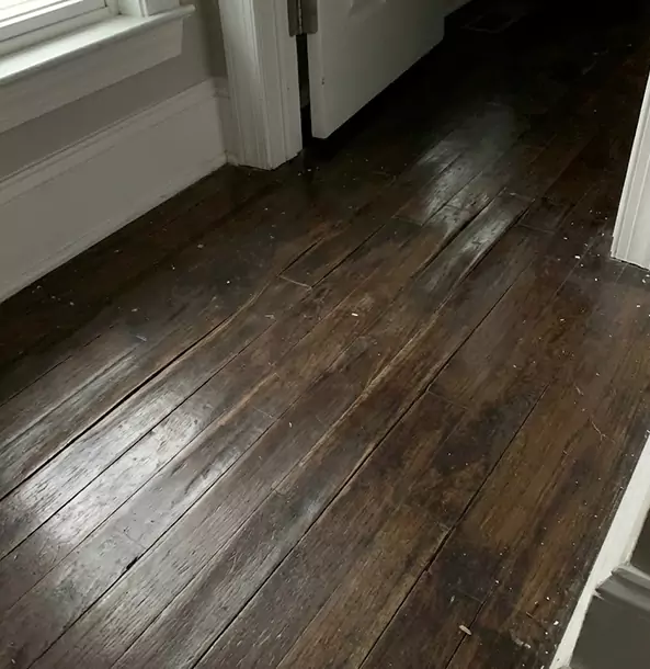 Why Kennesaw Homeowners Trust Kennesaw Restoration Pro to Fix Water Damaged Wood?