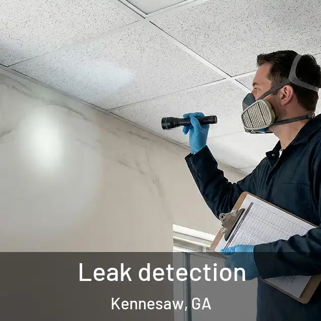  Leak detection Kennesaw, GA