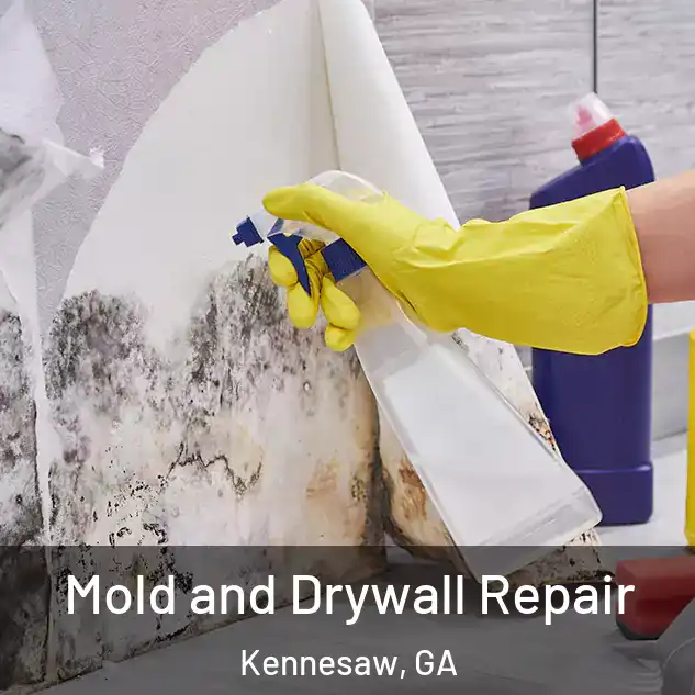  Mold and Drywall Repair Kennesaw, GA
