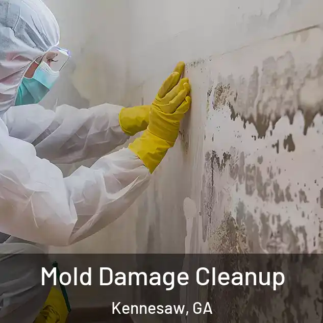  Mold Damage Cleanup Kennesaw, GA
