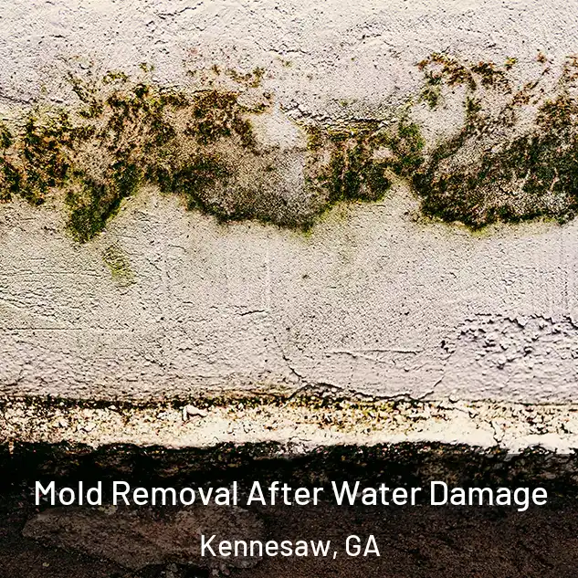  Mold Removal After Water Damage Kennesaw, GA
