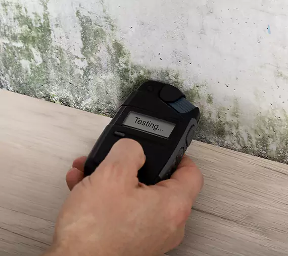 Mold Remediation Service Kennesaw