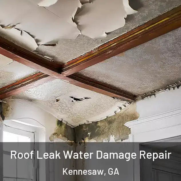  Roof Leak Water Damage Repair Kennesaw, GA