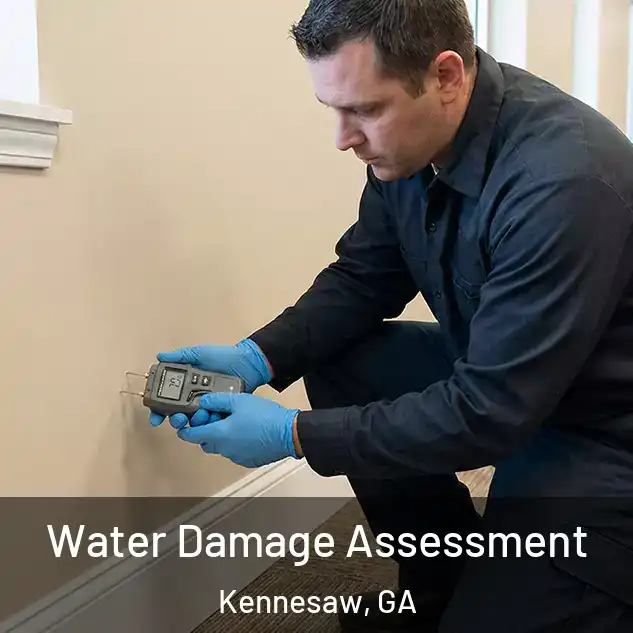  Water Damage Assessment Kennesaw, GA