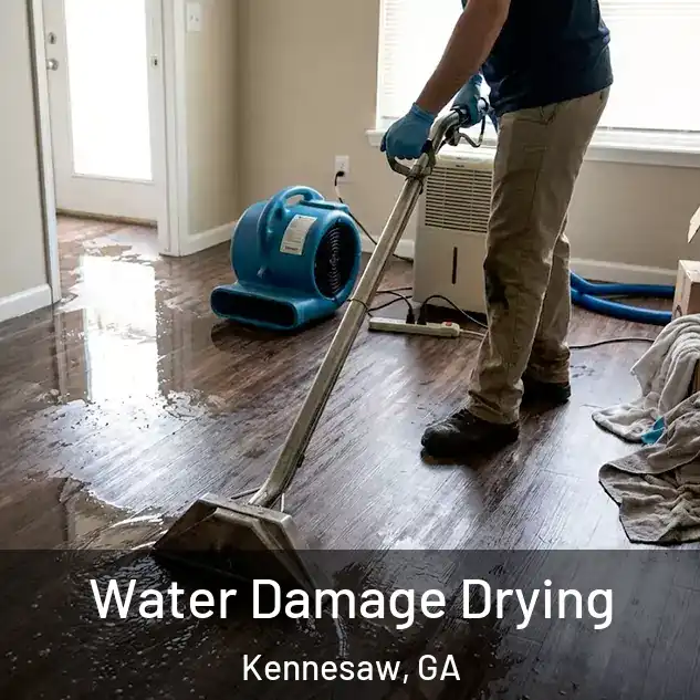  Water Damage Drying Kennesaw, GA