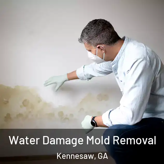  Water Damage Mold Removal Kennesaw, GA