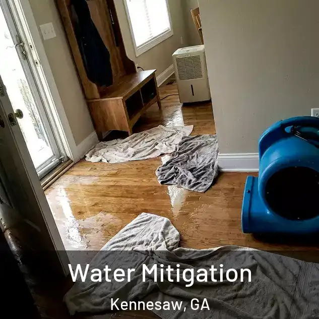  Water Mitigation Kennesaw, GA