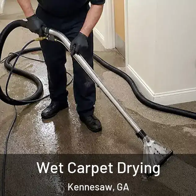  Wet Carpet Drying Kennesaw, GA