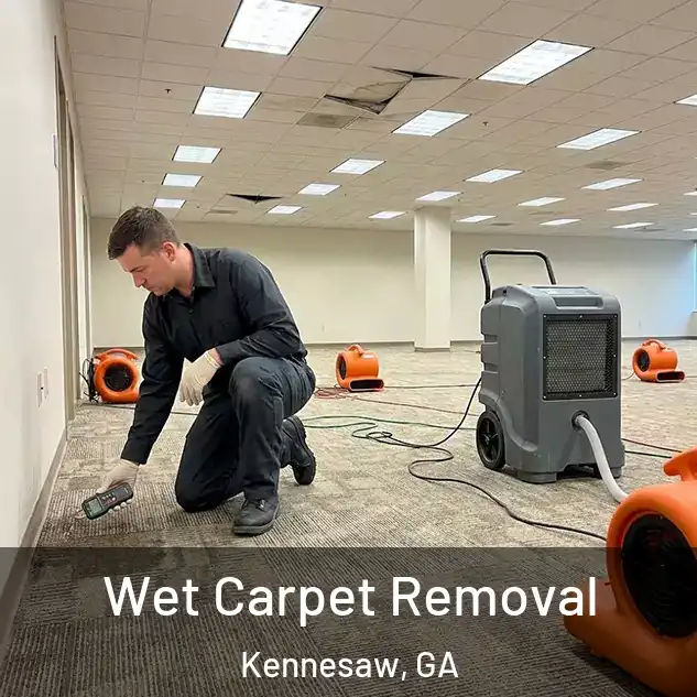  Wet Carpet Removal Kennesaw, GA